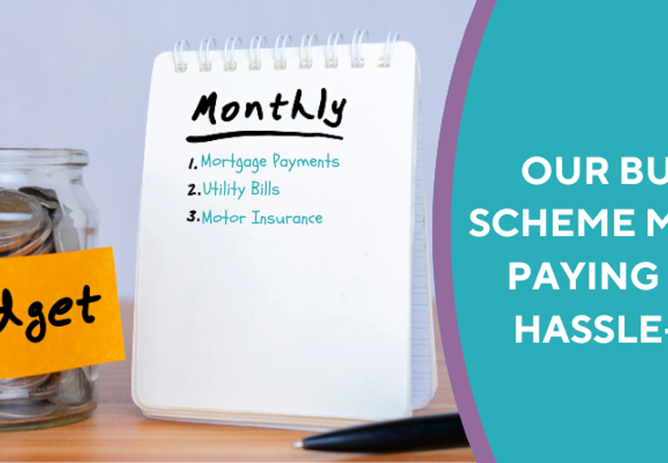 Budget Scheme Renewals